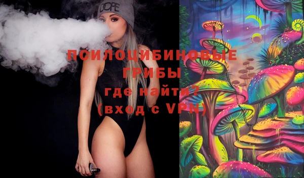 ПСИЛОЦИБИНОВЫЕ ГРИБЫ Алексин