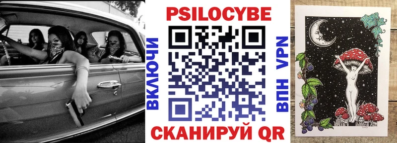 цена   мега как войти  Псилоцибиновые грибы Psilocybine cubensis  Амурск 